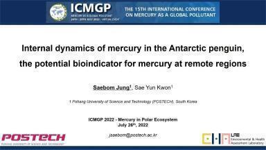 Internal Dynamics of Mercury in the Antarctic Penguin, the Potential Bioindicator for Mercury at Remote Regions